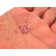 4 mm Czech MC Small Faceted Glass Bicone Beads - Crystal Red Luster Half Coating