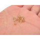 Tschechische MC Doppelkegelperlen - 4 mm - Crystal Celsian
