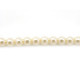 Runde tschechische Glaswachsperlen – Imitationsperlen – Soft Cream (40 Perlen)