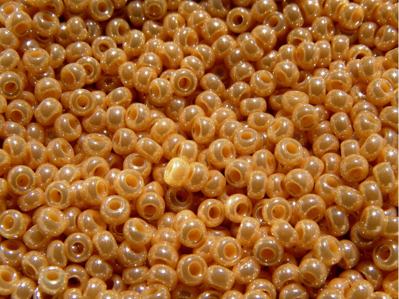 10 gr  Miyuki Perlen 11/0 (2 mm) - Shell Opaque Lustre - Farbnr. 442