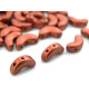 Arcos par Puca® - Bronze Red Mat - 10g (~45 beads) - Moon-Shaped 3-hole Beads (5x10mm)
