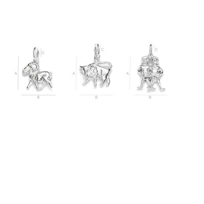 Sterling Silver 925 Zodiac Sign Charm Pendant - All Zodiac Signs - Horoscope - Birth Signs