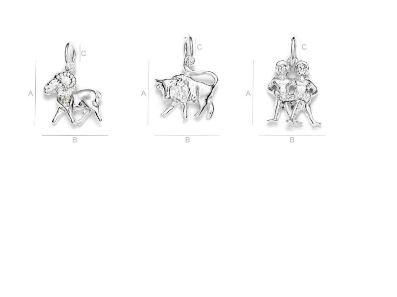 Sterling Silver 925 Zodiac Sign Charm Pendant - All Zodiac Signs - Horoscope - Birth Signs
