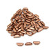 Tinos par Puca® - Copper Gold Mat - 10g (Approx. 50 beads) - Trapezium-shaped 2-hole Beads (4x10 mm)