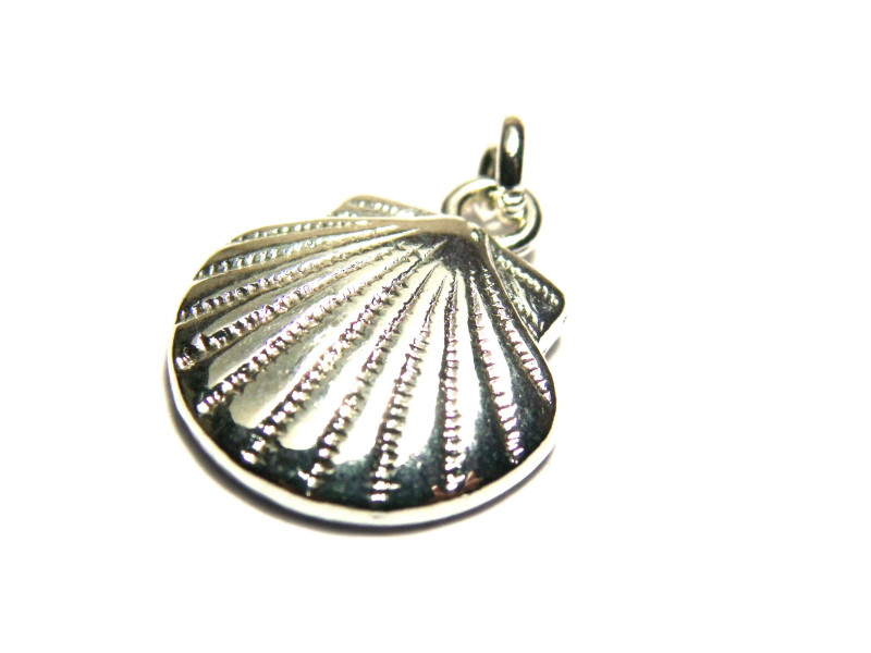 15 mm Clam Shell - Alloy Charm With Open Jump Ring - Silver Plated (2 pc.)