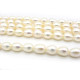 6 x 7 mm Oval Rice-Shaped Freshwater Cultured Pearls - Cream White