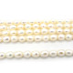 6 x 7 mm Oval Rice-Shaped Freshwater Cultured Pearls - Cream White