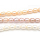 6 x 8 mm Rice-Shaped Oval Freshwater Cultured Pearls - White, Peach, Purple