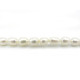 4 x 6 mm - Grade A - Rice-Shaped (Oval) Freshwater Cultured Pearls - White, Peach, Purple (1 Strand or 10 Pearls)