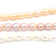 6 x 8 mm Rice-Shaped Oval Freshwater Cultured Pearls - White, Peach, Purple