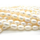 Reisförmige (Ovale) Süßwasserperlen 8 x 12 mm - Klasse A - Weiß (1 Strang mit 38 Perlen od. 10 Perlen)