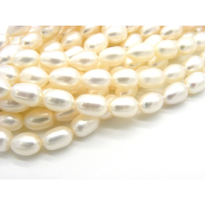 Reisförmige (Ovale) Süßwasserperlen 8 x 12 mm - Klasse A - Weiß (1 Strang mit 38 Perlen od. 10 Perlen)