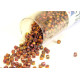 11/0 (1.6 x 1.3 mm) Miyuki Delica Japanese Seed Beads, Cylindrical Seed Beads - 7.2 g Vial - Teaberry - DB 1013 - 7.2 g Vial